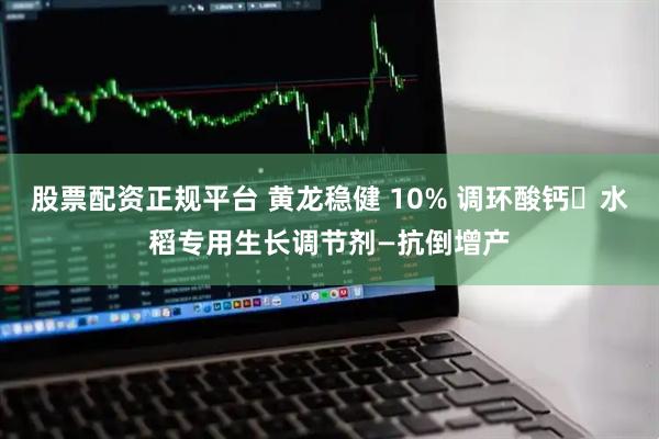 股票配资正规平台 黄龙稳健 10% 调环酸钙・水稻专用生长调节剂—抗倒增产