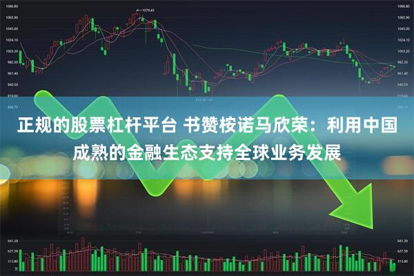 正规的股票杠杆平台 书赞桉诺马欣荣：利用中国成熟的金融生态支持全球业务发展